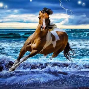 Meet your Posher, Priscilla